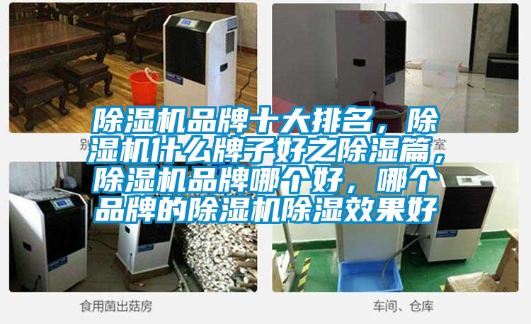 除濕機品牌十大排名,除濕機什么牌子好之除濕篇,除濕機品牌哪個好,哪個品牌的除濕機除濕效果好