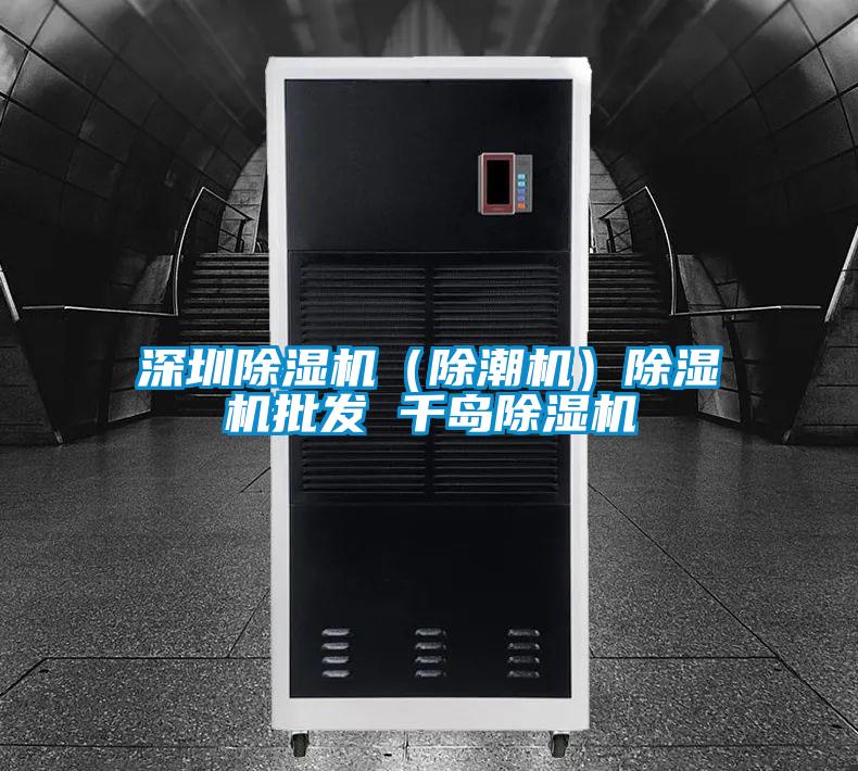 深圳除濕機(除潮機)除濕機批發 千島除濕機