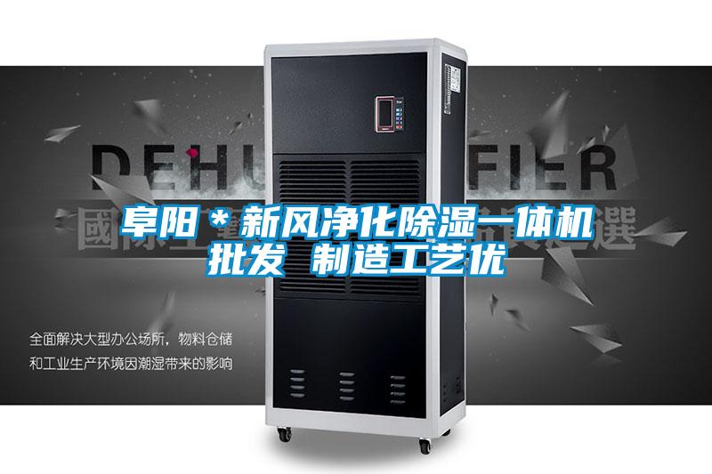 阜陽*新風(fēng)凈化除濕一體機(jī)批發(fā) 制造工藝優(yōu)