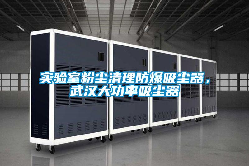 實驗室粉塵清理防爆吸塵器，武漢大功率吸塵器