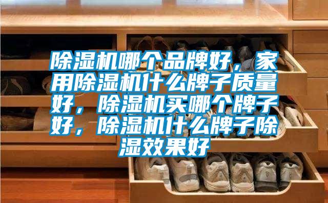 除濕機(jī)哪個(gè)品牌好，家用除濕機(jī)什么牌子質(zhì)量好，除濕機(jī)買哪個(gè)牌子好，除濕機(jī)什么牌子除濕效果好