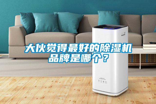 大伙覺得最好的除濕機品牌是哪個?