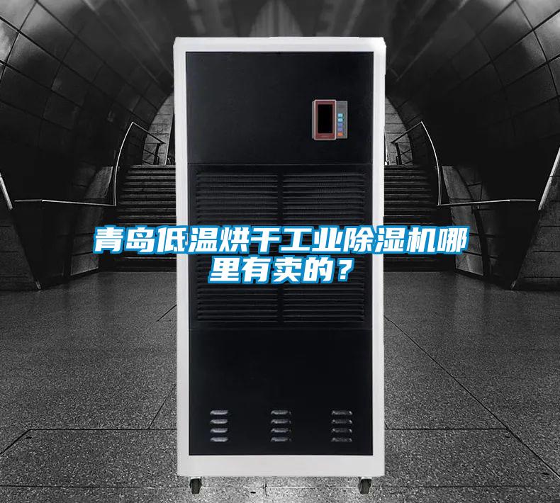 青島低溫烘干工業除濕機哪里有賣的？