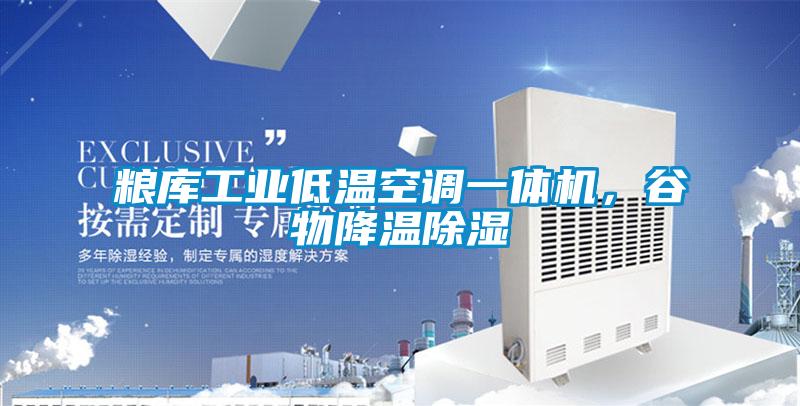 糧庫(kù)工業(yè)低溫空調(diào)一體機(jī)，谷物降溫除濕