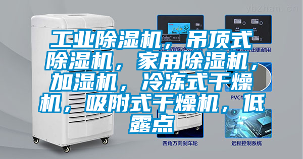 工業除濕機，吊頂式除濕機，家用除濕機，加濕機，冷凍式干燥機，吸附式干燥機，低露點