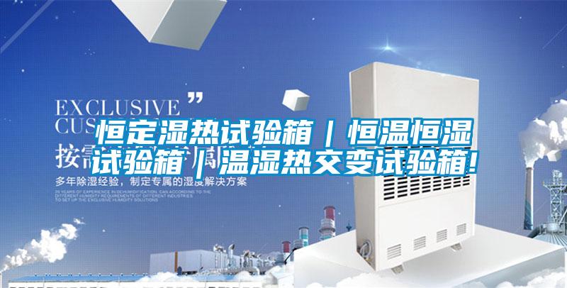 恒定濕熱試驗箱|恒溫恒濕試驗箱|溫濕熱交變試驗箱!