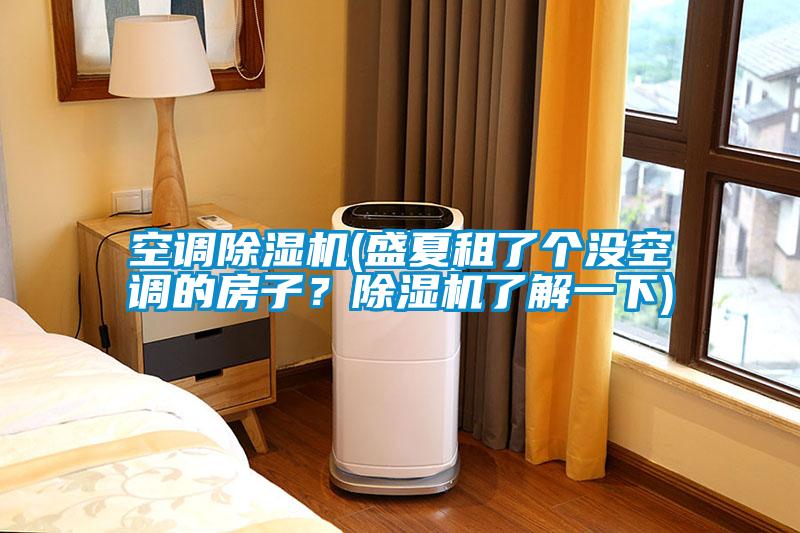 空調(diào)除濕機(jī)(盛夏租了個(gè)沒(méi)空調(diào)的房子?除濕機(jī)了解一下)