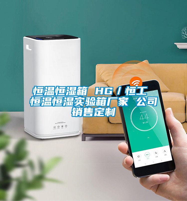 恒溫恒濕箱 HG/恒工 恒溫恒濕實驗箱廠家 公司銷售定制