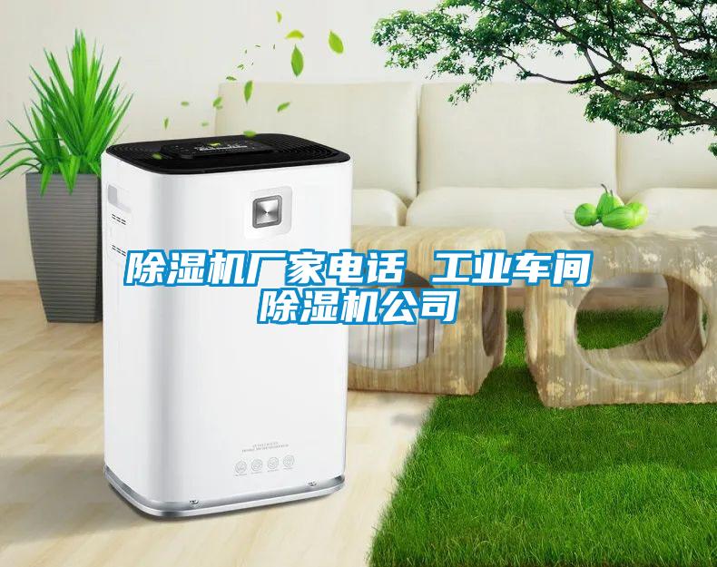除濕機(jī)廠家電話 工業(yè)車(chē)間除濕機(jī)公司