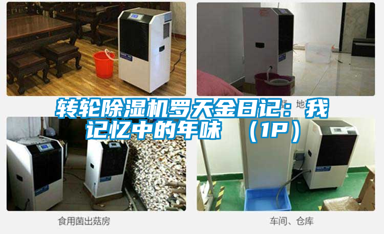 轉(zhuǎn)輪除濕機(jī)羅天金日記:我記憶中的年味 (1P)