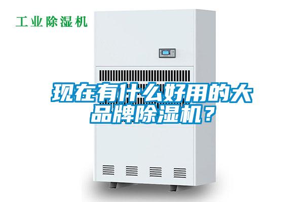 現在有什么好用的大品牌除濕機？