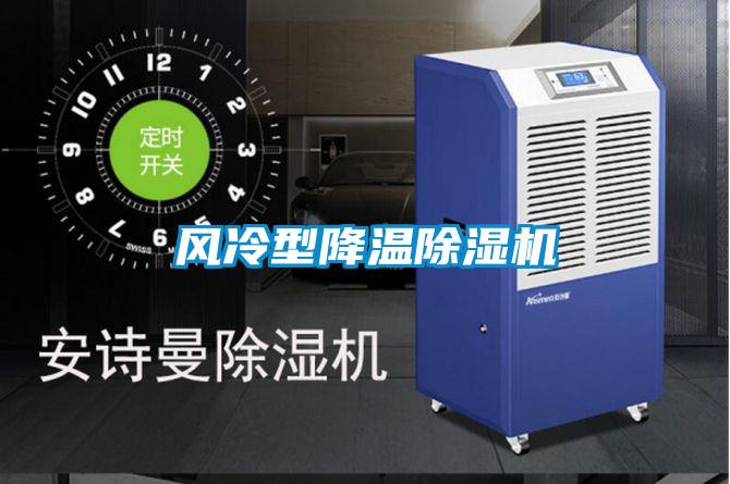 風(fēng)冷型降溫除濕機