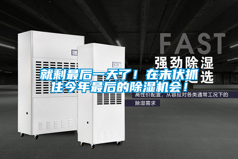 就剩最后一天了！在末伏抓住今年最后的除濕機(jī)會！