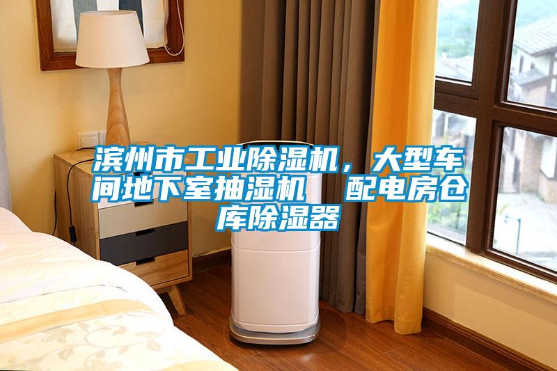 濱州市工業除濕機，大型車間地下室抽濕機  配電房倉庫除濕器