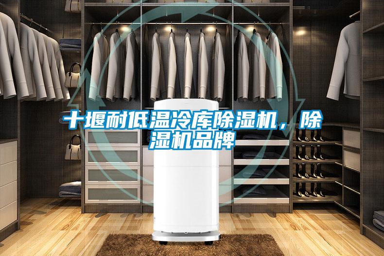 十堰耐低溫冷庫除濕機,除濕機品牌