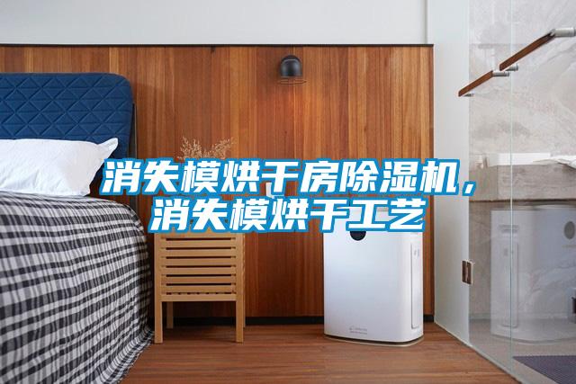 消失模烘干房除濕機，消失模烘干工藝