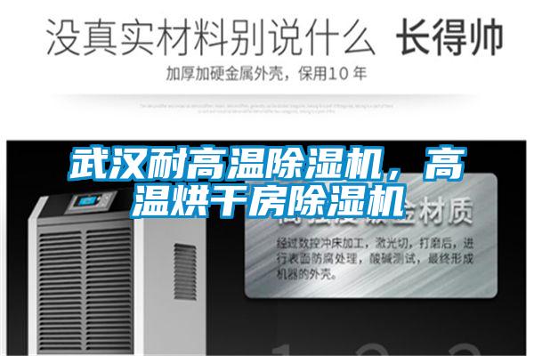 武漢耐高溫除濕機，高溫烘干房除濕機
