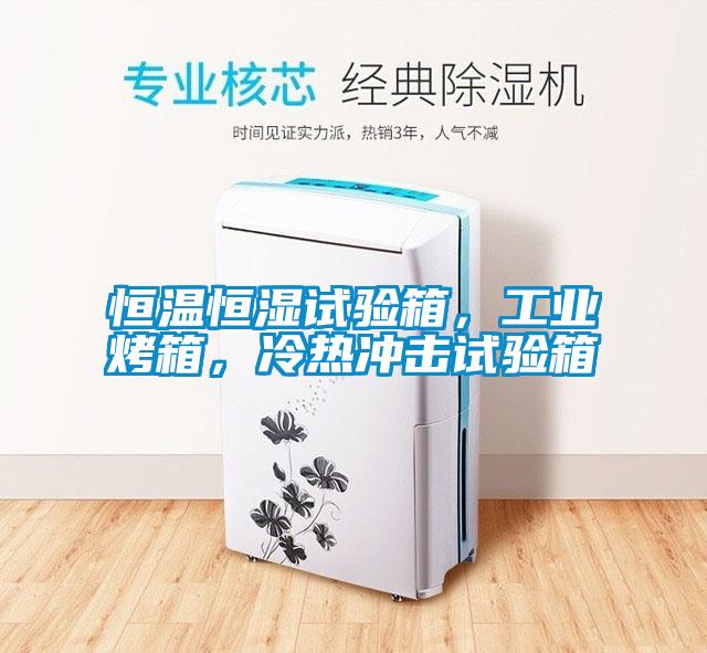 恒溫恒濕試驗箱，工業烤箱，冷熱沖擊試驗箱