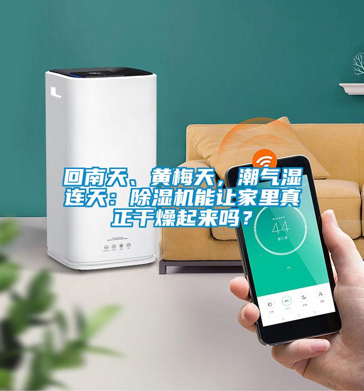 回南天、黃梅天,潮氣濕連天:除濕機能讓家里真正干燥起來嗎?