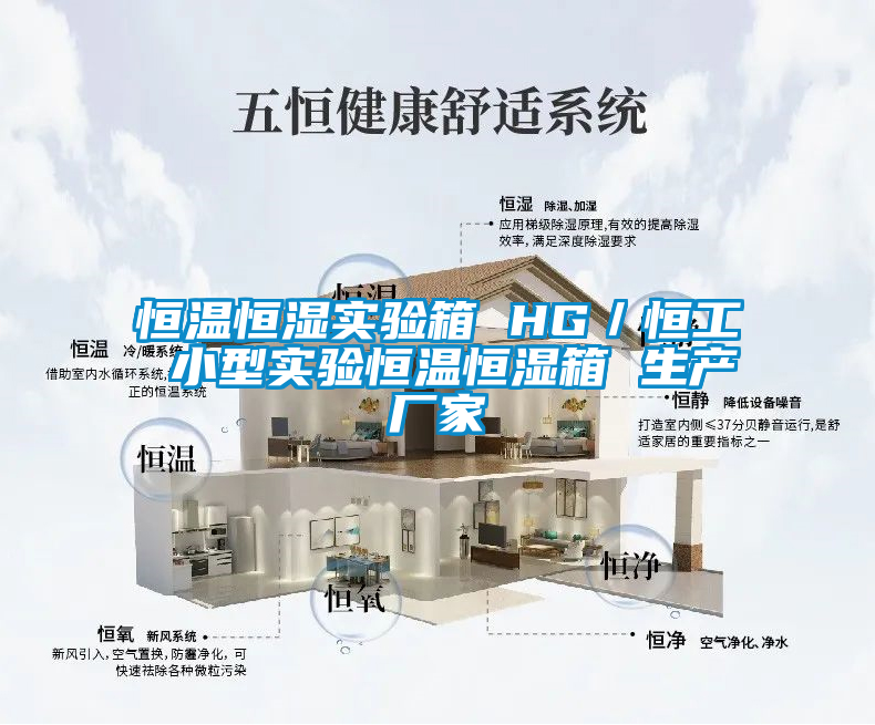 恒溫恒濕實驗箱 HG/恒工 小型實驗恒溫恒濕箱 生產(chǎn)廠家