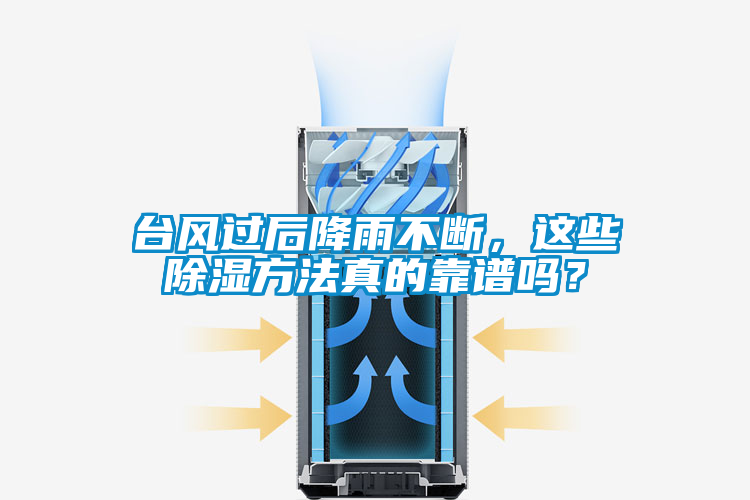 臺(tái)風(fēng)過(guò)后降雨不斷,這些除濕方法真的靠譜嗎?