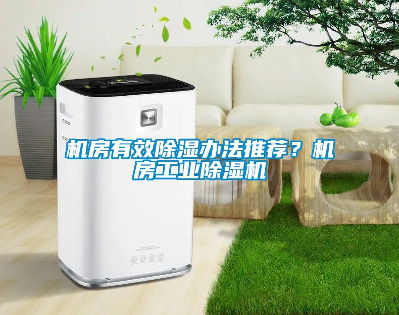 機房有效除濕辦法推薦?機房工業除濕機
