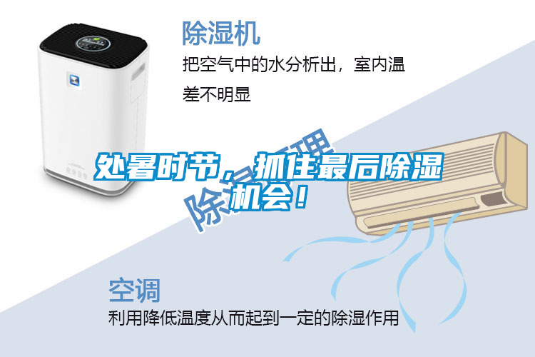 處暑時節(jié)，抓住最后除濕機(jī)會！