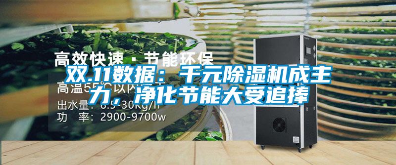 雙.11數據：千元除濕機成主力，凈化節能大受追捧