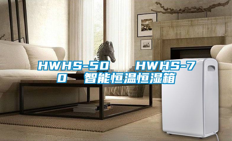 HWHS-50 HWHS-70 智能恒溫恒濕箱