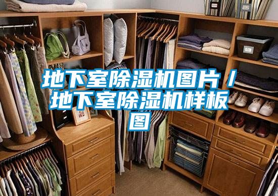 地下室除濕機圖片/地下室除濕機樣板圖