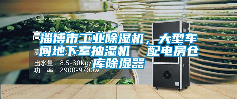 淄博市工業(yè)除濕機(jī),大型車間地下室抽濕機(jī) 配電房倉庫除濕器