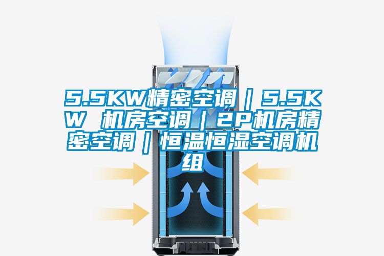 5.5KW精密空調|5.5KW 機房空調|2P機房精密空調|恒溫恒濕空調機組