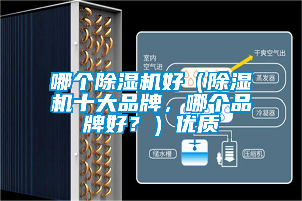 哪個(gè)除濕機(jī)好（除濕機(jī)十大品牌，哪個(gè)品牌好？）優(yōu)質(zhì)