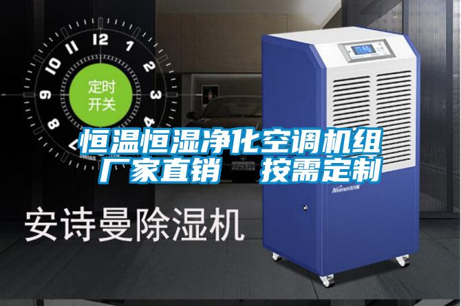 恒溫恒濕凈化空調(diào)機組 廠家直銷 按需定制
