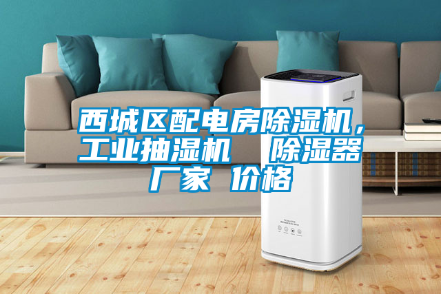 西城區(qū)配電房除濕機,工業(yè)抽濕機 除濕器廠家 價格