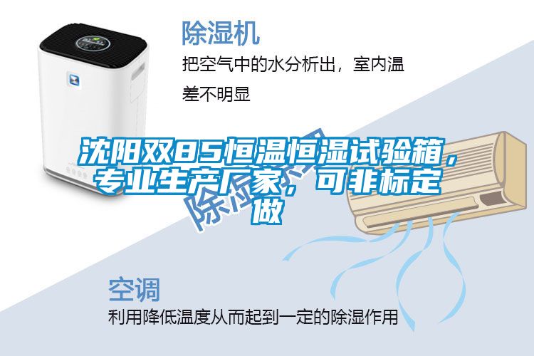 沈陽雙85恒溫恒濕試驗箱，專業生產廠家，可非標定做