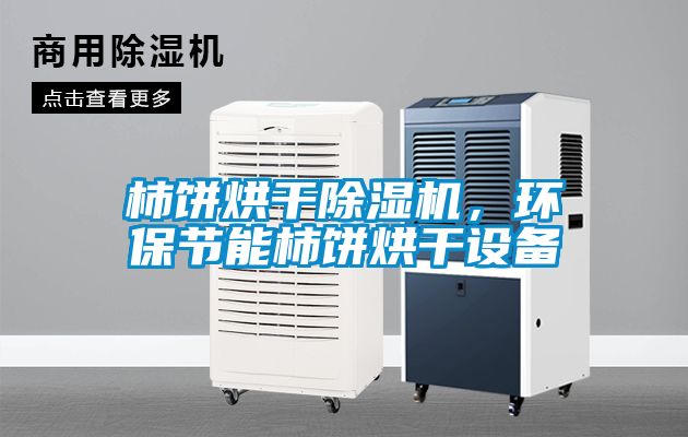 柿餅烘干除濕機(jī)，環(huán)保節(jié)能柿餅烘干設(shè)備