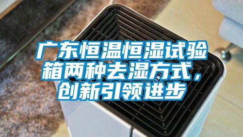 廣東恒溫恒濕試驗箱兩種去濕方式，創新引領進步