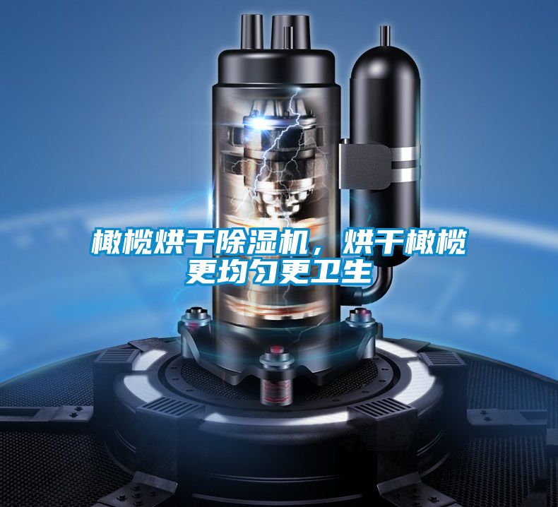 橄欖烘干除濕機,烘干橄欖更均勻更衛生