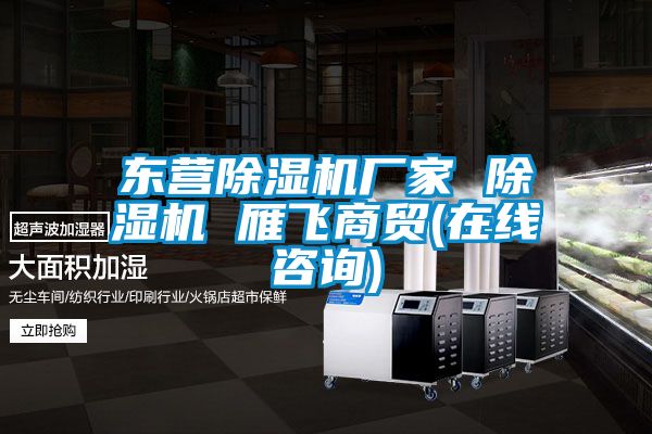 東營(yíng)除濕機(jī)廠家 除濕機(jī) 雁飛商貿(mào)(在線咨詢)