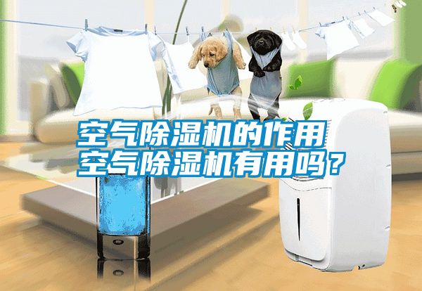 空氣除濕機的作用 空氣除濕機有用嗎?