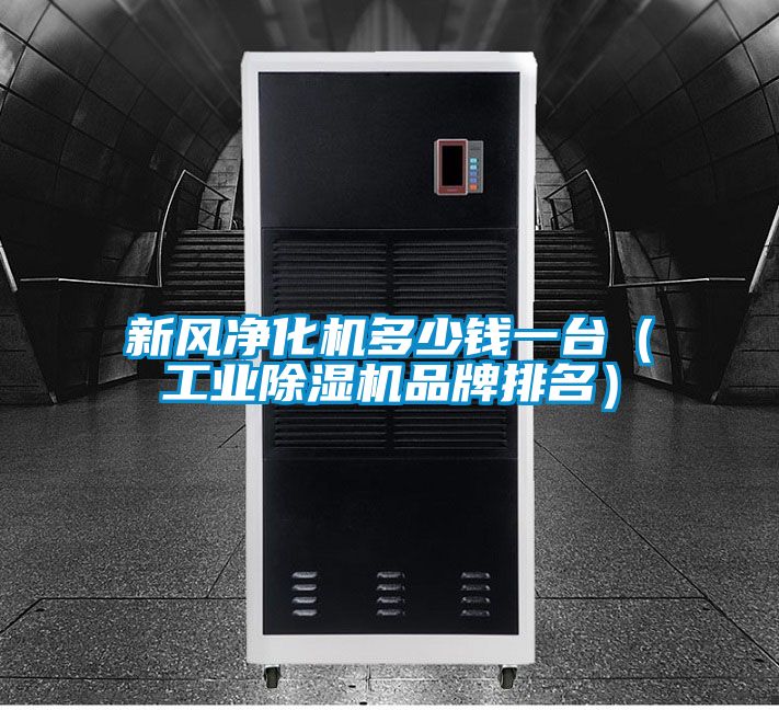 新風(fēng)凈化機(jī)多少錢(qián)一臺(tái)(工業(yè)除濕機(jī)品牌排名)