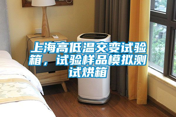 上海高低溫交變試驗箱，試驗樣品模擬測試烘箱