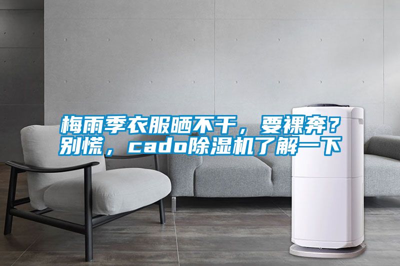 梅雨季衣服曬不干，要裸奔？別慌，cado除濕機了解一下