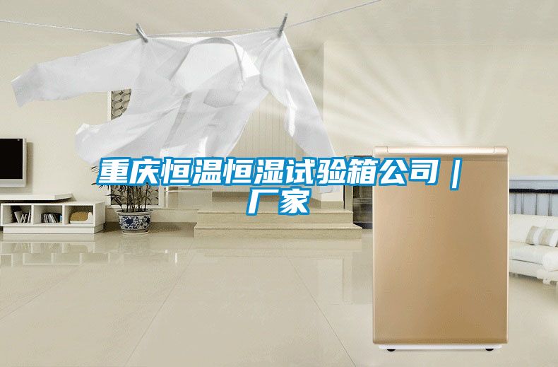 重慶恒溫恒濕試驗箱公司|廠家