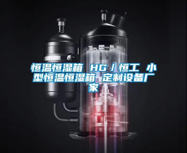 恒溫恒濕箱 HG/恒工 小型恒溫恒濕箱 定制設備廠家