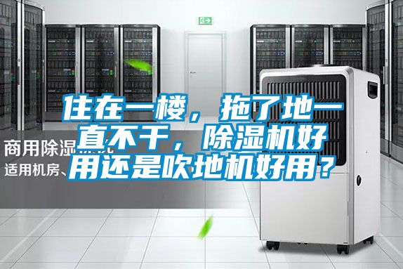 住在一樓,拖了地一直不干,除濕機好用還是吹地機好用?