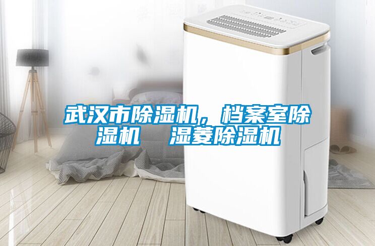 武漢市除濕機,檔案室除濕機 濕菱除濕機