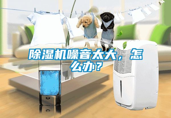 除濕機噪音太大，怎么辦？