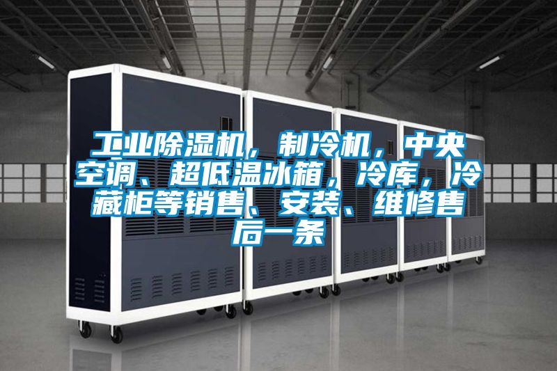 工業(yè)除濕機(jī)，制冷機(jī)，中央空調(diào)、超低溫冰箱，冷庫(kù)，冷藏柜等銷(xiāo)售、安裝、維修售后一條